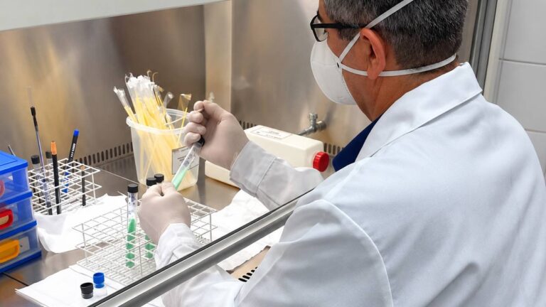 Novo método amplia detecção de Mycobacterium bovis em animais e alimentos