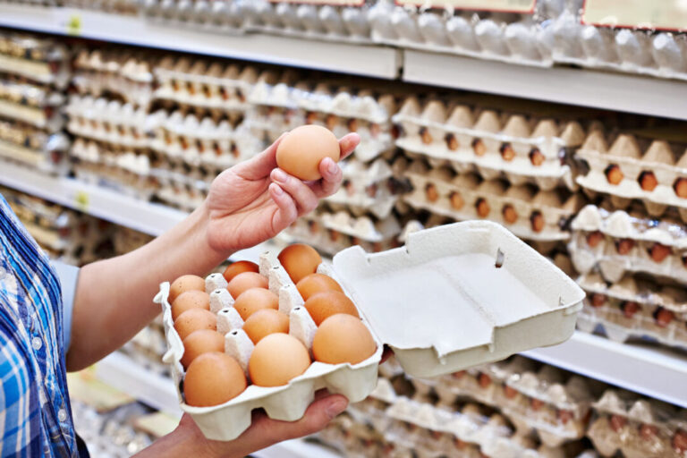 Produção de ovos para consumo bate recorde no primeiro semestre