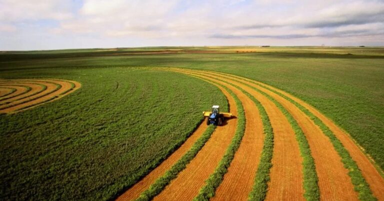 Agro paulista soma superávit de US$ 13,83 bi com alta de carnes e soja