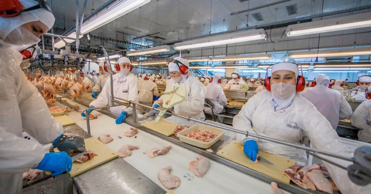 Escassez de mão de obra desafia operações e muda perfil das vagas na Aurora Coop