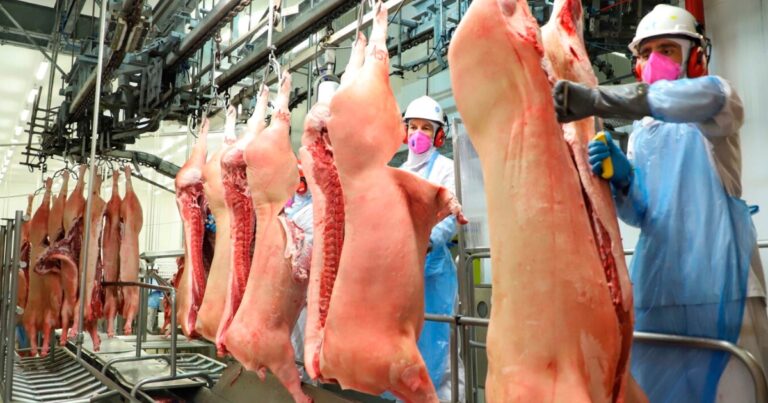 Exportações de carne suína superam 1 milhão de toneladas até agosto