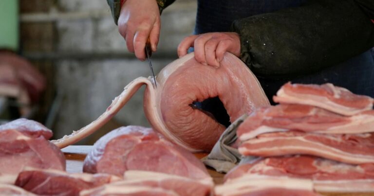 Brasil busca ampliar exportações de carne suína ao Japão além de Santa Catarina