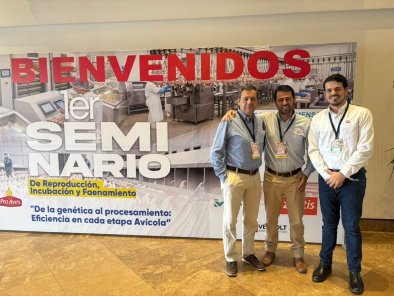 Fisiologia reprodutiva e rendimento no abate pautam debate avícola no Equador