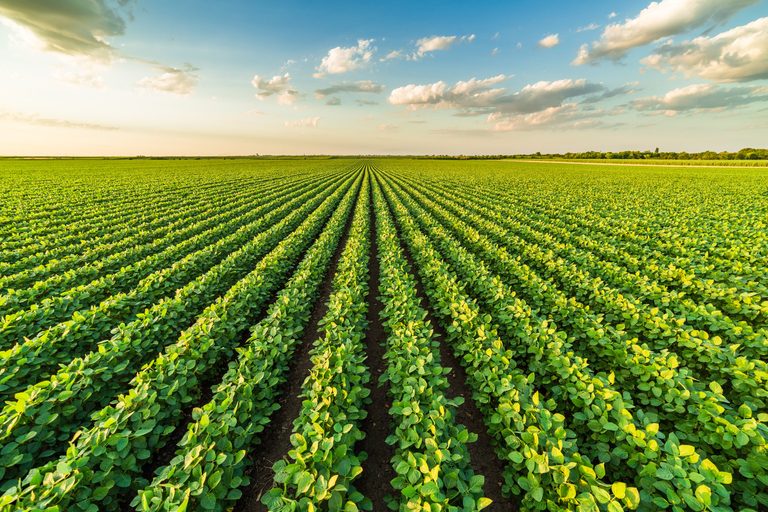 El Niño forte pode reduzir safra de soja 2026/27 em 17,6 milhões de toneladas no Brasil