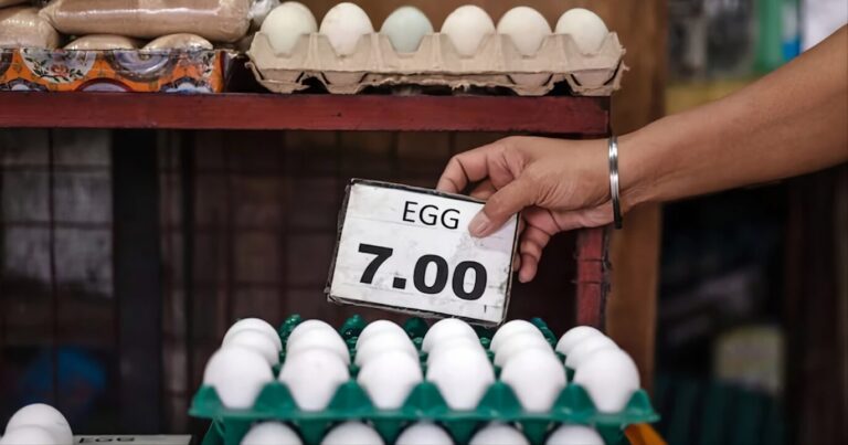 Ovos turcos de baixo custo acendem alerta entre produtores britânicos