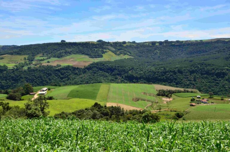 SC Rural 2 abre prazo para projetos de agricultores e pescadores em Santa Catarina