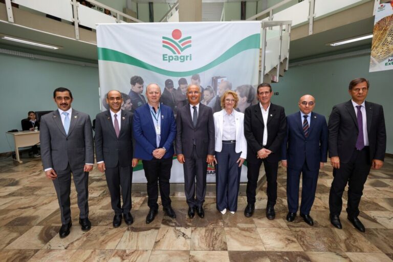 Frango representa até 94,1% das exportações de SC a três países árabes