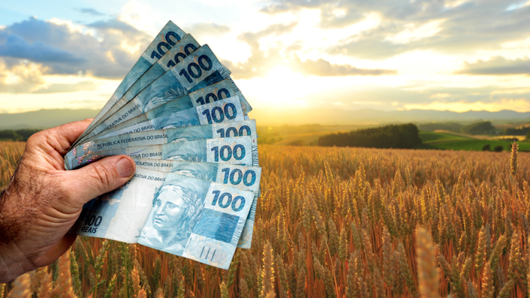 Desembolsos para o agro paulista caem 41,9% no início da safra