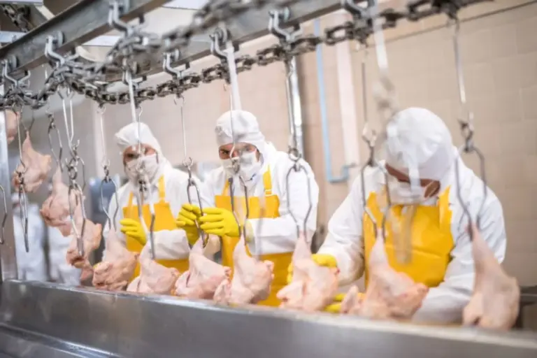 Produção global de frango deve crescer 3,5%, mas excesso de oferta pressiona mercados