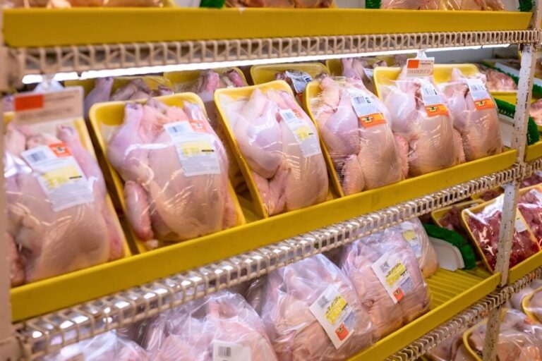 Novos focos de Newcastle em SC ainda não afetam mercado de frango