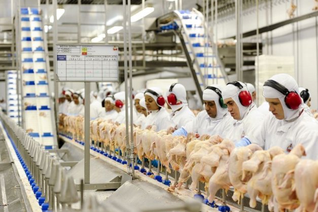 Exportações de frango batem recorde trimestral com 1,51 milhão de toneladas