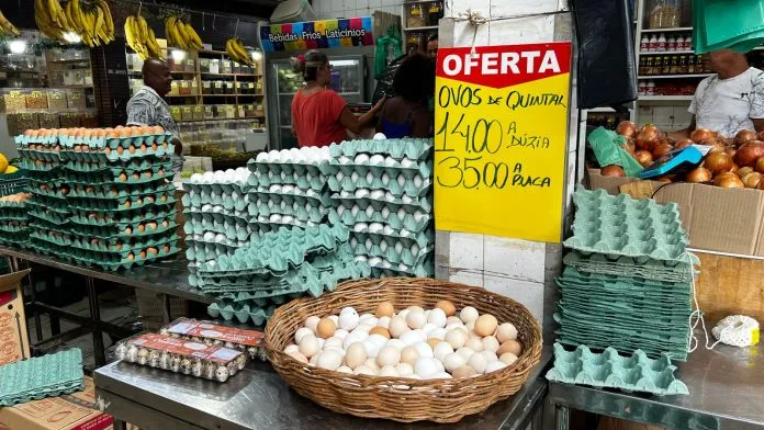Preços dos ovos ficam estáveis na primeira quinzena, mas negociações perdem ritmo