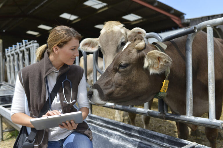 Sindirações realizará seis cursos técnicos sobre alimentação animal em novembro