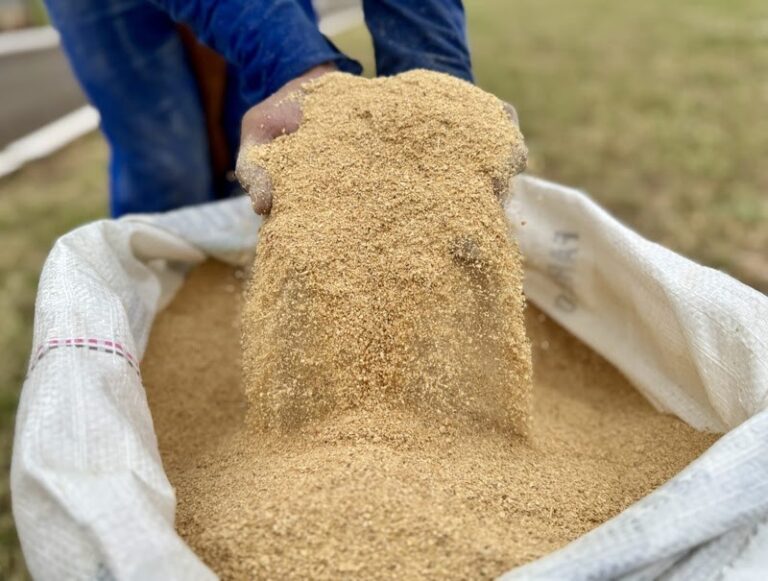 Conab inicia venda de farelo de soja com Cargill no Distrito Federal