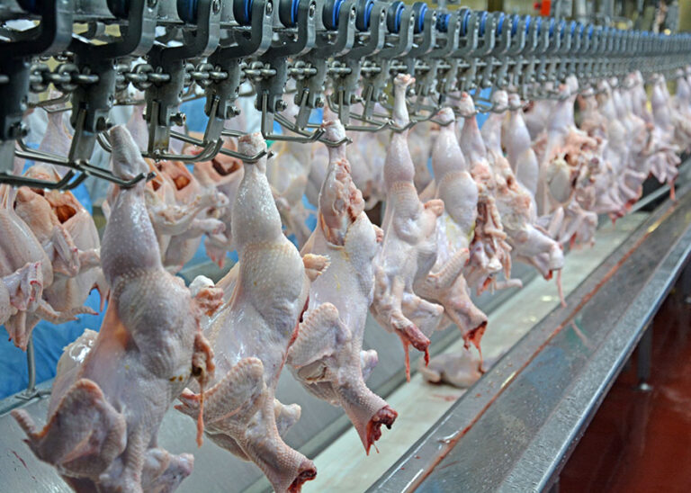 Conbrasfran inclui IA aplicada ao abate de aves em seminário de tecnologia