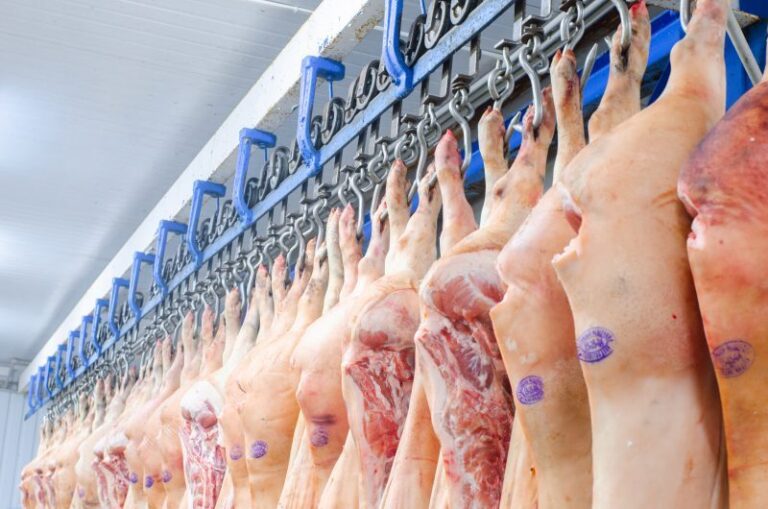 Exportações de carne suína crescem 6,2% no acumulado, mas caem 11% em setembro