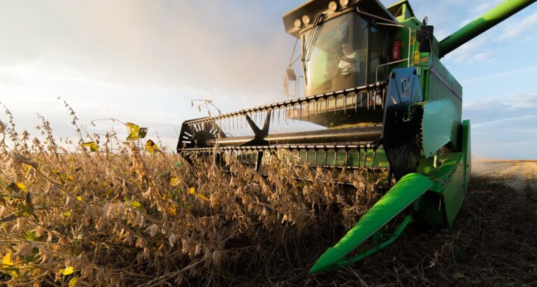 Agropecuária cresce 12,8% e exportações brasileiras avançam em setembro