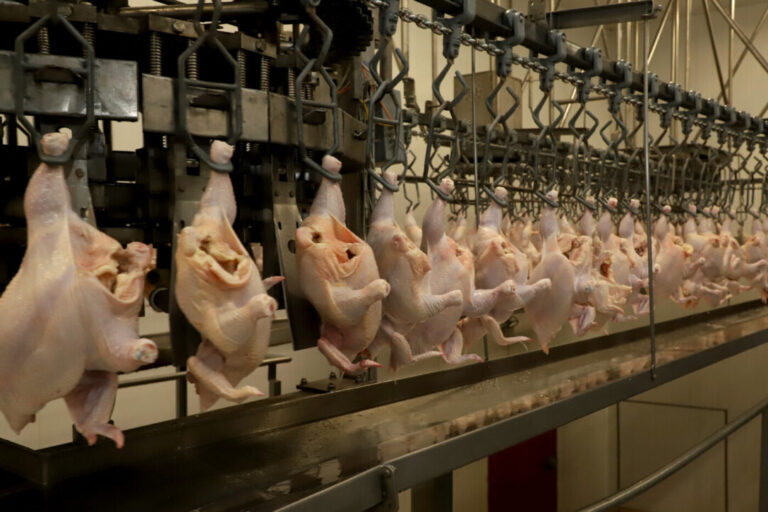 Auditoria da UE valida controles brasileiros para carne de aves e mel