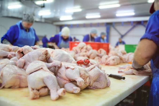Exportações de frango de Mato Grosso crescem 24,42% e atingem maior volume em nove anos
