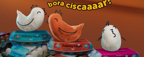 1Happyeggs_Boraciscar