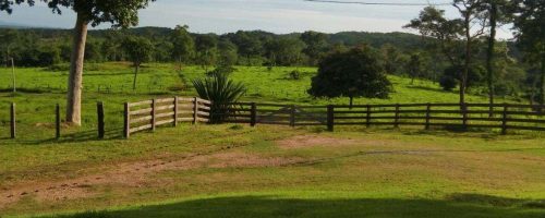 34530-359836-1959827-fazenda-bela-vista