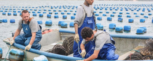 AQUICULTURA