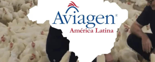 Aviagen