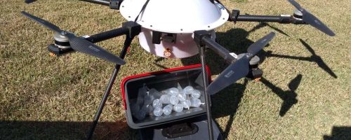 BRF - entrega com drones 1