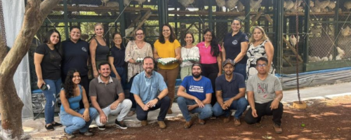 CAGE FREE AVIÁRIO