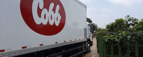 COBB frota Peru 01