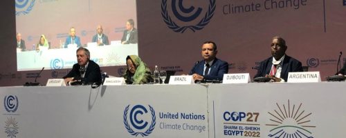 COP27