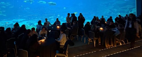 Capa Matéria Agrifirm IPPE 2026 (4)