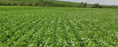 Capa Matéria Agro no Sudeste (2)