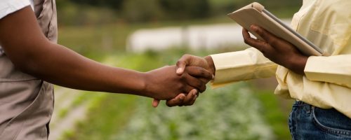 Capa Matéria Agronegócio registra recorde de empregos