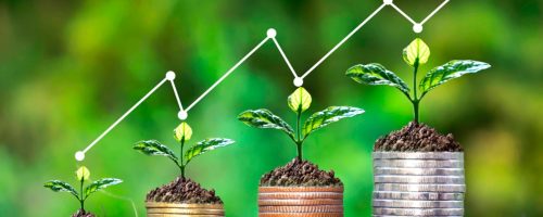 Capa Matéria Agropecuária avança nas exportações