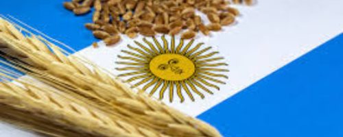 Capa Matéria Argentina