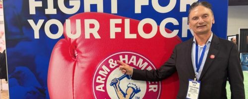 Capa Matéria Arm&Hammer IPPE 2026