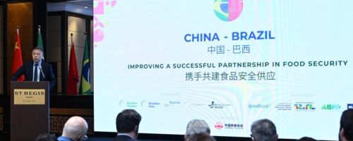 Capa Matéria Brasil e China debatem sanidade