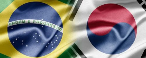 Capa Matéria Brasil e Coreia do Sul Ovos