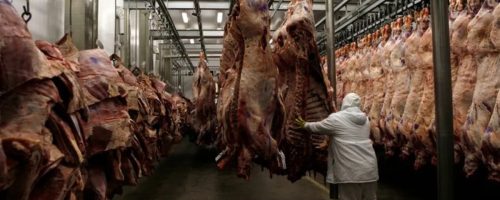 Capa Matéria Carne bovina Mato Grosso