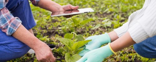 Capa Matéria Consistência no agro
