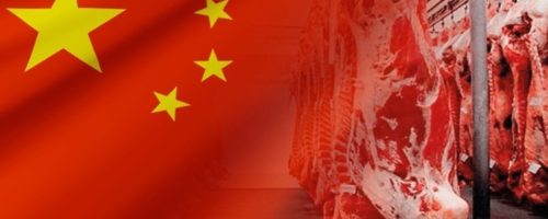 Capa Matéria Cota China