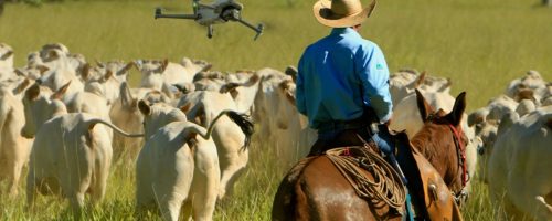 Capa Matéria Drone Pecuária