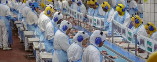 Capa Matéria Economia circular avança nas agroindústrias