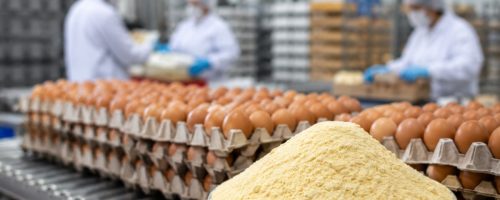Capa Matéria Egito inicia exportação de ovos desidratados