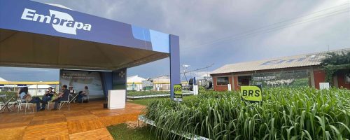 Capa Matéria Embrapa Show Rural Coopavel