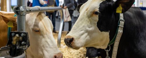 Capa Matéria Eurotier 2026
