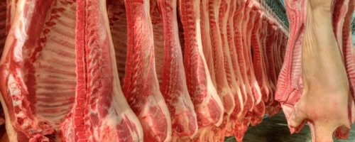 Capa Matéria Exportação Carne Suína