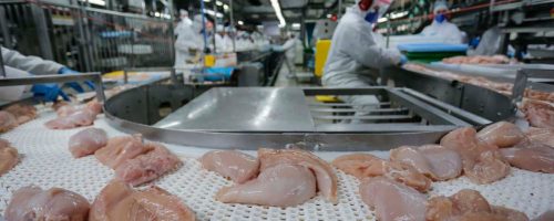 Capa Matéria Exportação Crane de Frango Abril