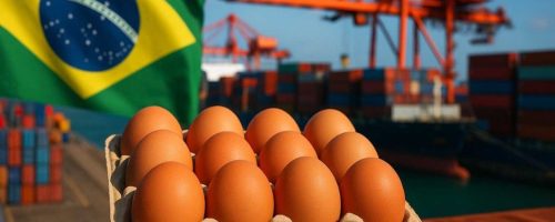 Capa Matéria Exportação Ovos